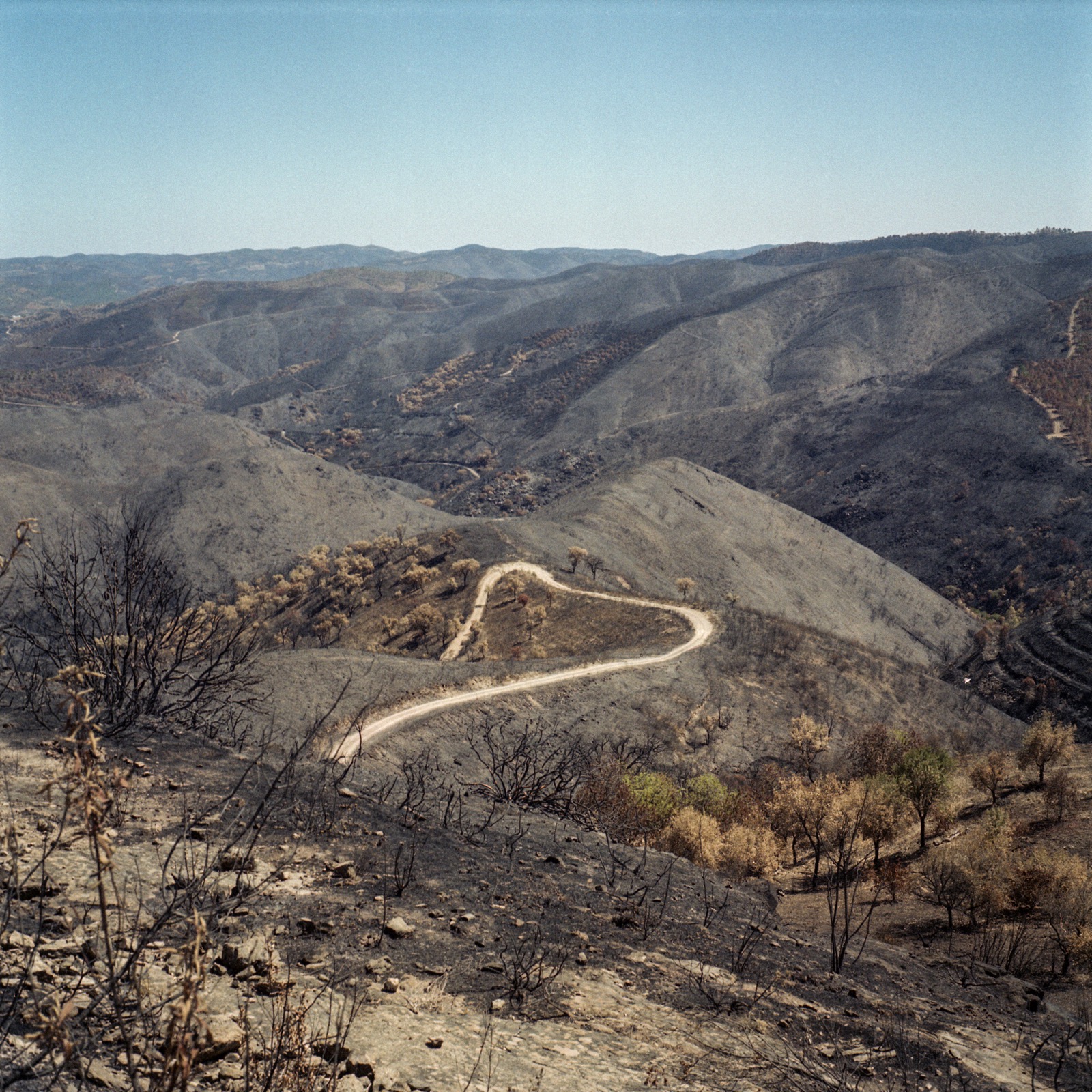 A heart shaped road on the mountains.