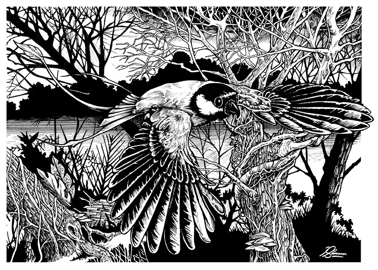 Portfolio ink illustration, has been licensed for web and editorial.