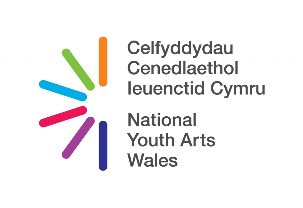 Profile picture for user National Youth Arts Wales