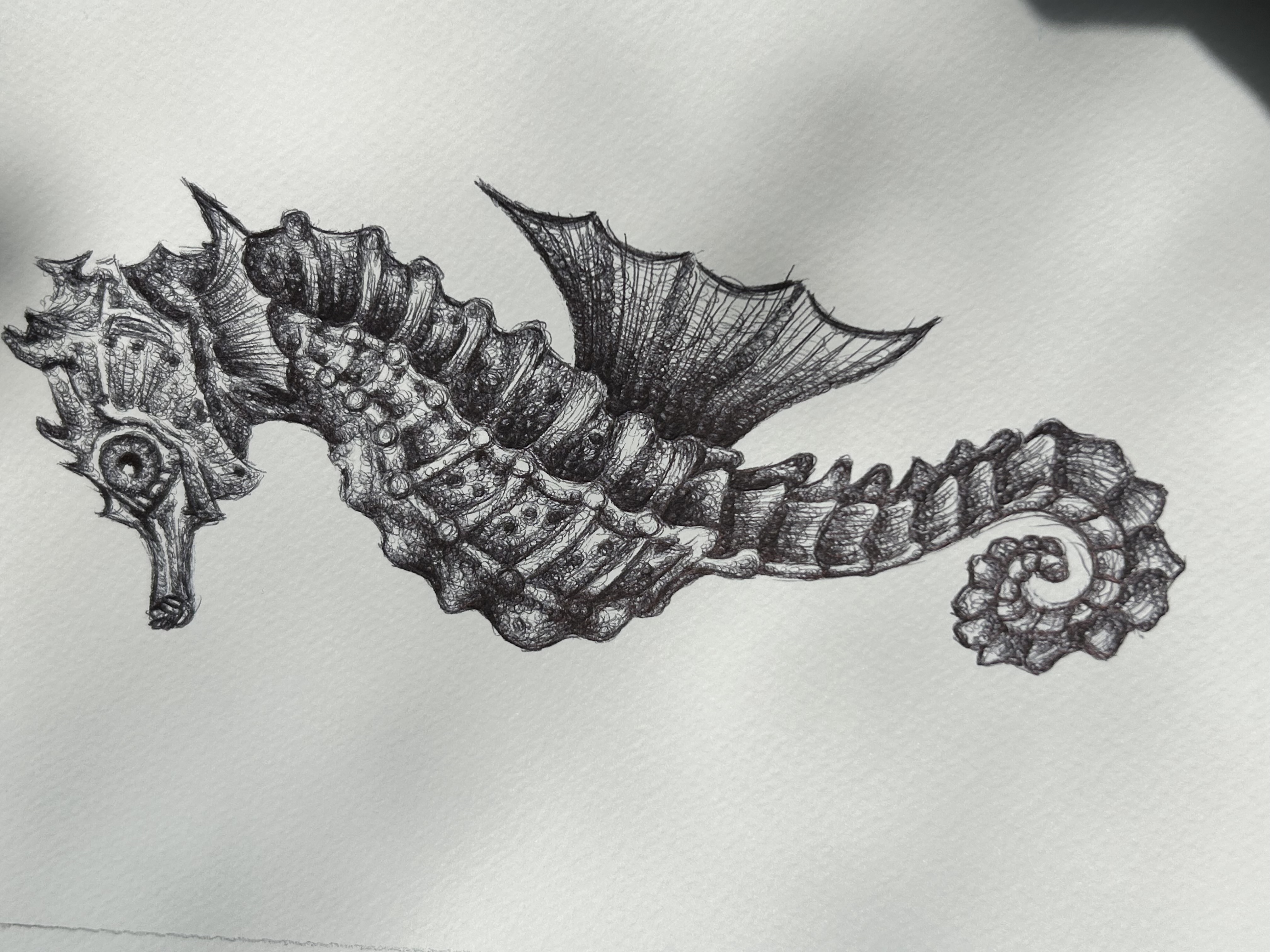 This is a biro illustration